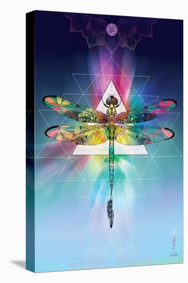 Cosmic Dragonfly-Karin Roberts-Stretched Canvas