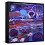 Cosmic Garden-David Newton-Framed Stretched Canvas