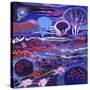 Cosmic Garden-David Newton-Stretched Canvas