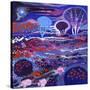 Cosmic Garden-David Newton-Stretched Canvas