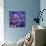 Cosmic Garden-David Newton-Giclee Print displayed on a wall