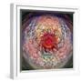 Cosmic Helicopter Seeds-David Manlove-Framed Giclee Print