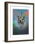 Cosmic Leopard-Karin Roberts-Framed Art Print