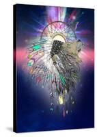 Cosmic Lion Butterfly-Karin Roberts-Stretched Canvas