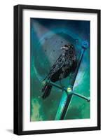 Cosmic Raven-Karin Roberts-Framed Art Print