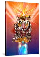 Cosmic Tiger-Karin Roberts-Stretched Canvas