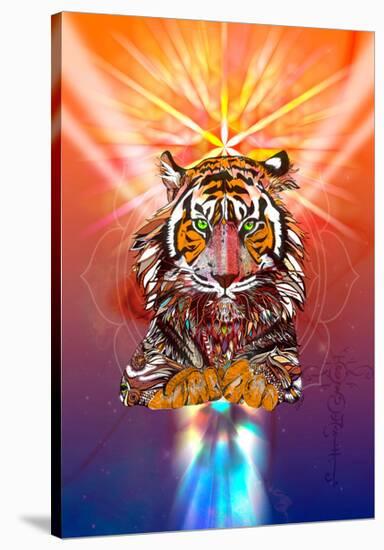 Cosmic Tiger-Karin Roberts-Stretched Canvas