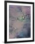 Cosmic Unicorn I-Pam Ilosky-Framed Art Print