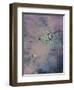 Cosmic Unicorn I-Pam Ilosky-Framed Art Print