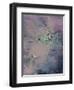 Cosmic Unicorn I-Pam Ilosky-Framed Art Print