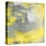 Cosmic Yellow mate-Jace Grey-Stretched Canvas
