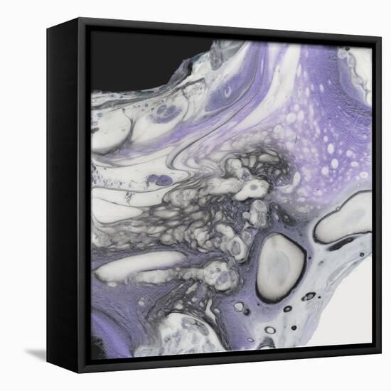 Cosmo-Pamela A. Johnson-Framed Stretched Canvas