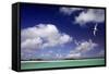 Cosmoledo Lagoon-null-Framed Stretched Canvas