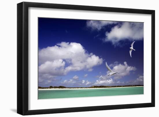 Cosmoledo Lagoon-null-Framed Photographic Print