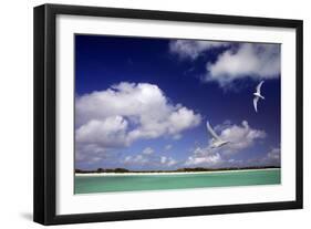 Cosmoledo Lagoon-null-Framed Photographic Print