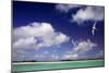 Cosmoledo Lagoon-null-Mounted Photographic Print