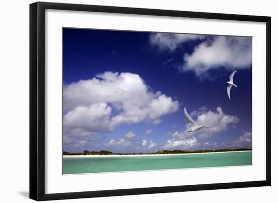 Cosmoledo Lagoon-null-Framed Photographic Print