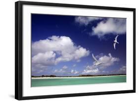 Cosmoledo Lagoon-null-Framed Photographic Print