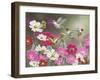 Cosmos and Hummingbirds-William Vanderdasson-Framed Giclee Print