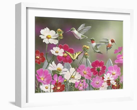 Cosmos and Hummingbirds-William Vanderdasson-Framed Giclee Print