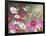 Cosmos and Hummingbirds-William Vanderdasson-Framed Giclee Print