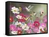 Cosmos and Hummingbirds-William Vanderdasson-Framed Stretched Canvas