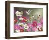 Cosmos and Hummingbirds-William Vanderdasson-Framed Premium Giclee Print