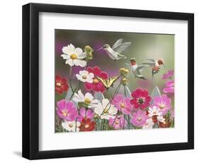 Cosmos and Hummingbirds-William Vanderdasson-Framed Premium Giclee Print