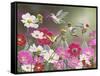 Cosmos and Hummingbirds-William Vanderdasson-Framed Stretched Canvas