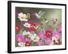 Cosmos and Hummingbirds-William Vanderdasson-Framed Giclee Print