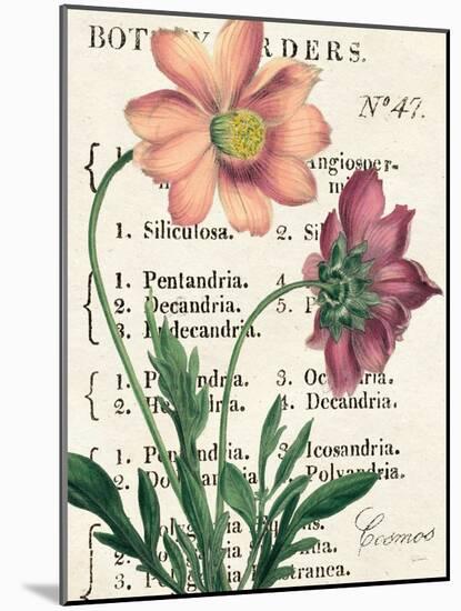 Cosmos Botany-Sue Schlabach-Mounted Art Print