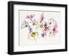 Cosmos Cosmos-Shirley Novak-Framed Art Print