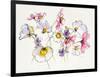 Cosmos Cosmos-Shirley Novak-Framed Art Print