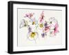 Cosmos Cosmos-Shirley Novak-Framed Art Print