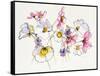 Cosmos Cosmos-Shirley Novak-Framed Stretched Canvas