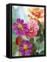 Cosmos, Dahlias and Roses (Fabric Flowers)-Roland Krieg-Framed Stretched Canvas