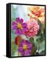 Cosmos, Dahlias and Roses (Fabric Flowers)-Roland Krieg-Framed Stretched Canvas