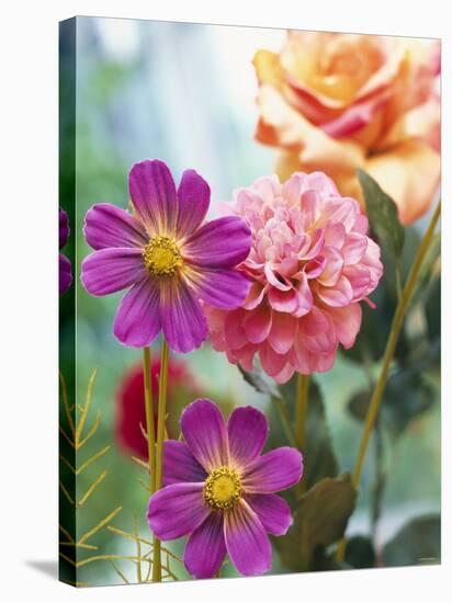 Cosmos, Dahlias and Roses (Fabric Flowers)-Roland Krieg-Stretched Canvas