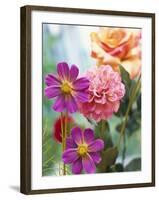 Cosmos, Dahlias and Roses (Fabric Flowers)-Roland Krieg-Framed Photographic Print