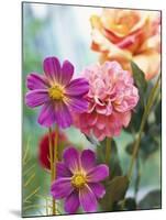 Cosmos, Dahlias and Roses (Fabric Flowers)-Roland Krieg-Mounted Photographic Print