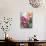 Cosmos, Dahlias and Roses (Fabric Flowers)-Roland Krieg-Mounted Photographic Print displayed on a wall