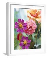 Cosmos, Dahlias and Roses (Fabric Flowers)-Roland Krieg-Framed Photographic Print