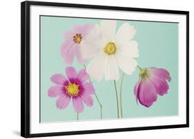 Cosmos Drift-Irene Suchocki-Framed Giclee Print