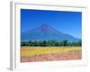 Cosmos Fields & Mt. Fuji, Oshino, Yamanashi, Japan-null-Framed Photographic Print