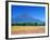 Cosmos Fields & Mt. Fuji, Oshino, Yamanashi, Japan-null-Framed Photographic Print