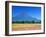 Cosmos Fields & Mt. Fuji, Oshino, Yamanashi, Japan-null-Framed Photographic Print