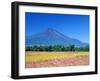 Cosmos Fields & Mt. Fuji, Oshino, Yamanashi, Japan-null-Framed Photographic Print