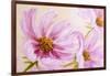 Cosmos-Flowers. Oil Painting-Valenty-Framed Art Print