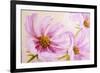 Cosmos-Flowers. Oil Painting-Valenty-Framed Art Print