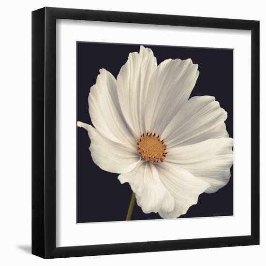 Cosmos I-Assaf Frank-Framed Giclee Print